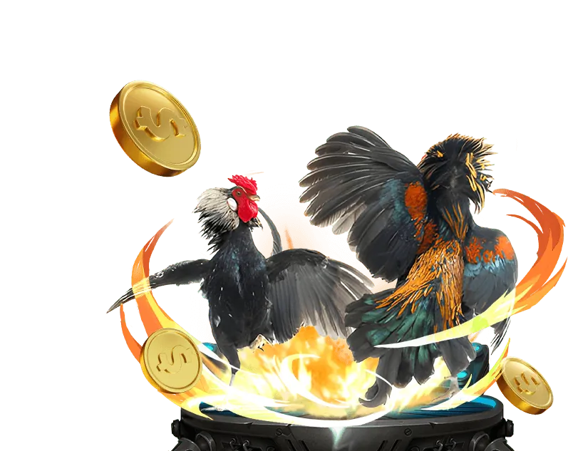 Đa dạng các môn thể thao tại 6vin